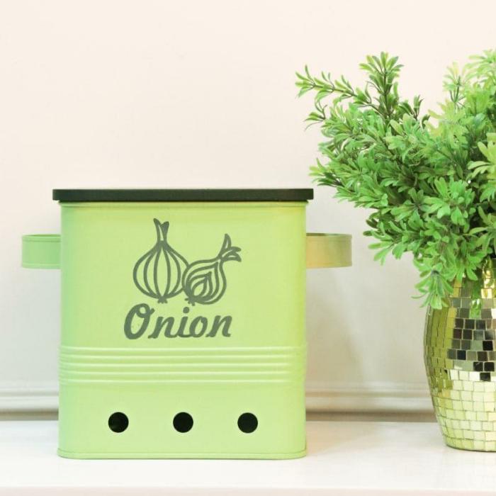 Containers & Jars |  Ferrous Fun Onion Storage Box (10000 Ml) Containers & Jars Containers & Jars